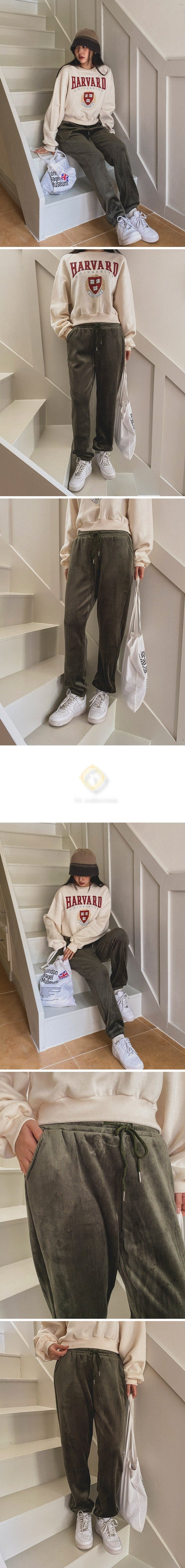 여성 배지올 벨벳 골지 융기모 조거 팬츠