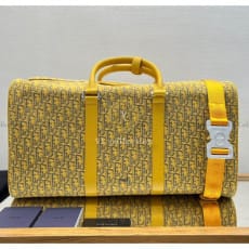 디올 링고 50 보스턴백