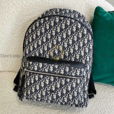 디올 오블리크 백팩