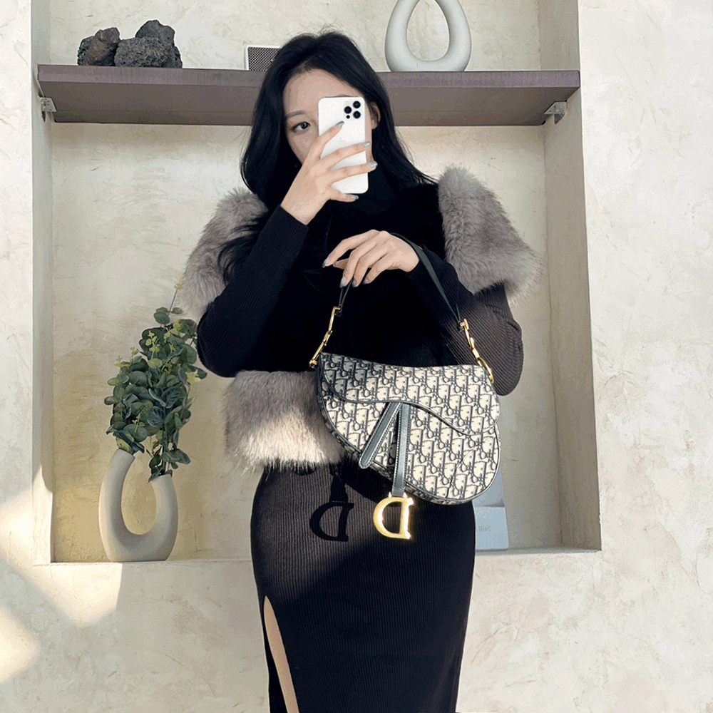 디올 오블리크 새들백