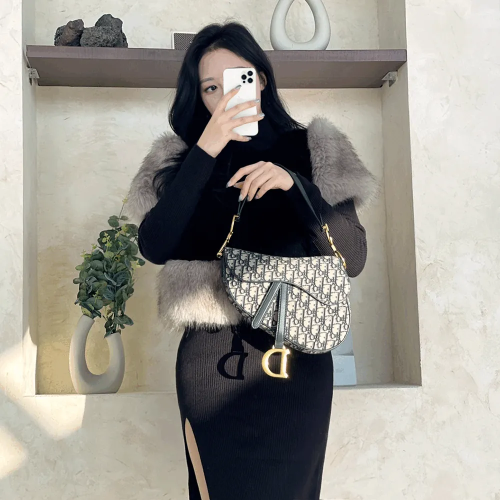 디올 오블리크 새들백