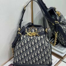 디올 체스트 미디엄 백