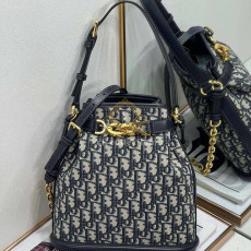 디올 체스트 미디엄 백