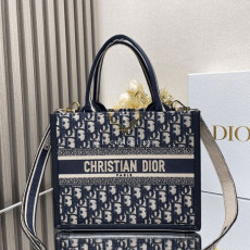 디올 오블리크 레더 스몰 북 토트백