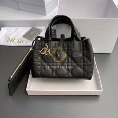 디올 뚜주흐 스몰 백