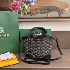 고야드 벨루가 미니백